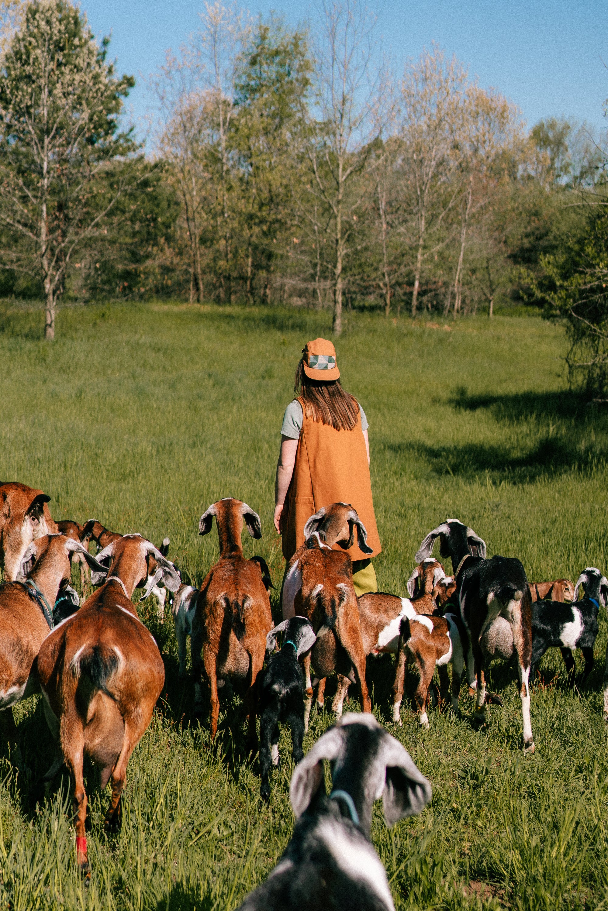 MAKER FEATURE: DREAMGOATS