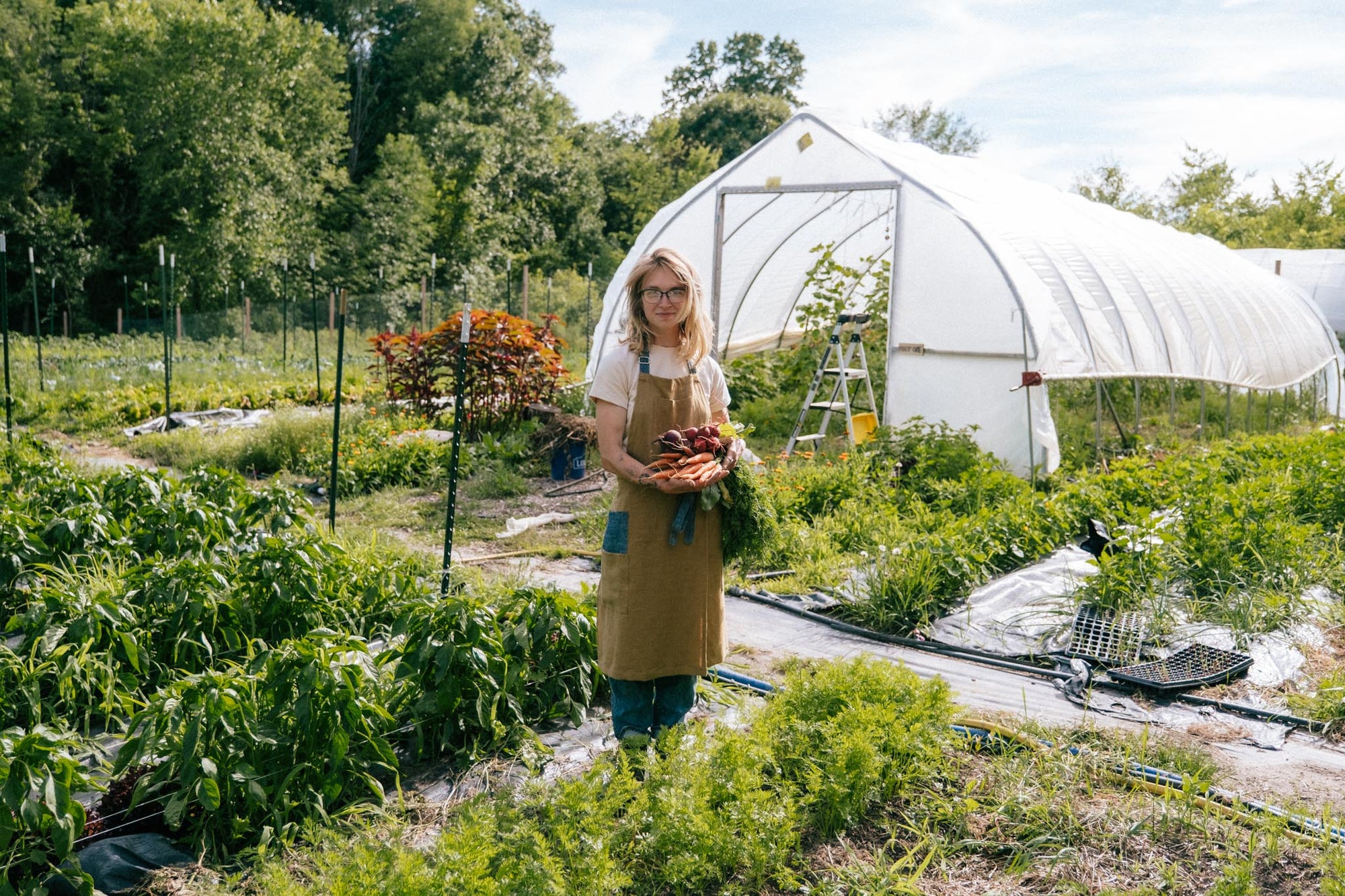 Farm Feature: Stillwind