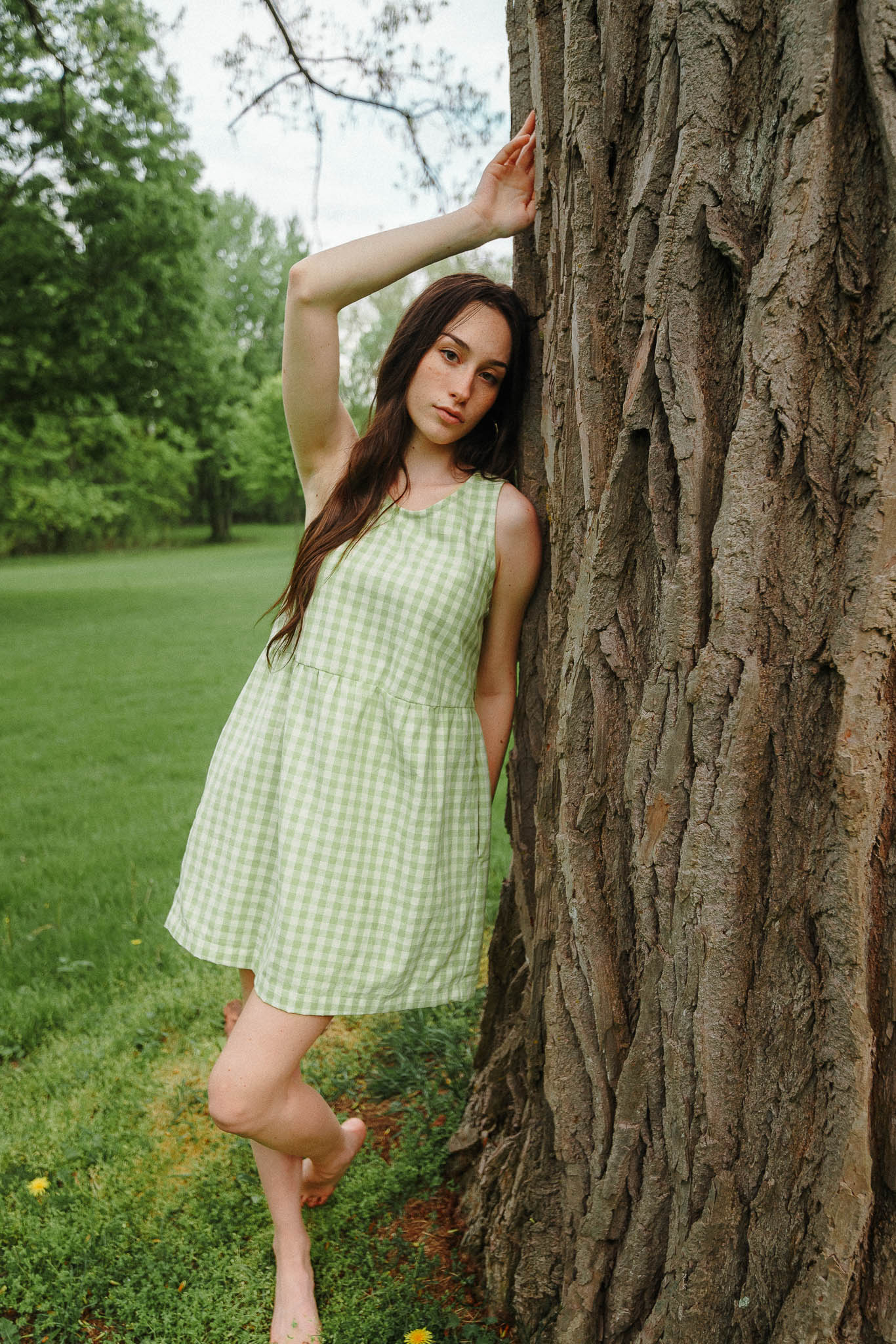 Sassafras Dress (Updated) in Honeydew