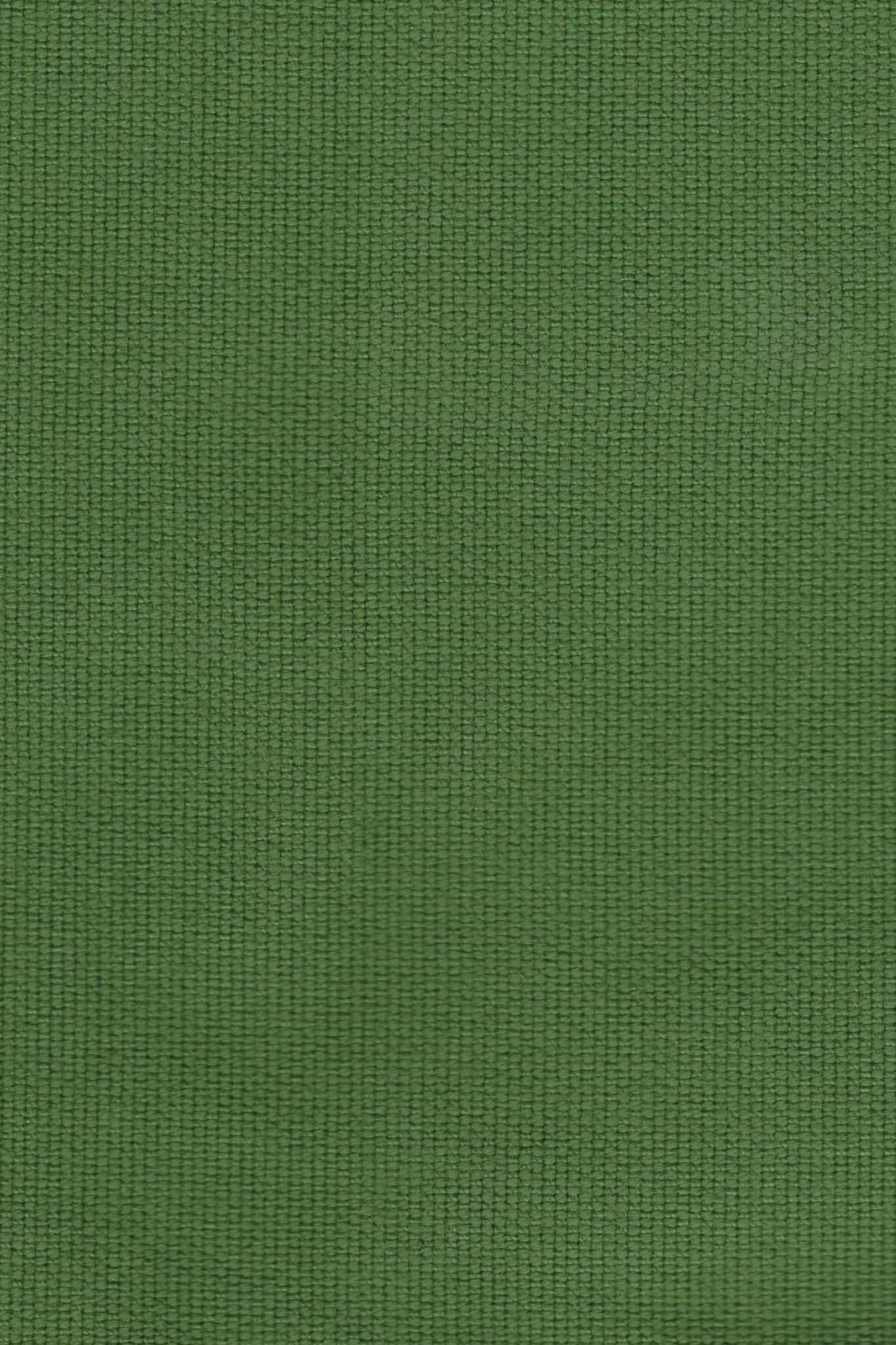 Gardenia Shorts in Leaf Green