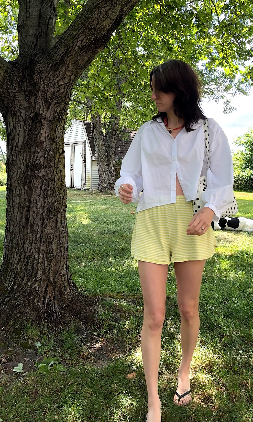 Chamomile Shorts in Zest