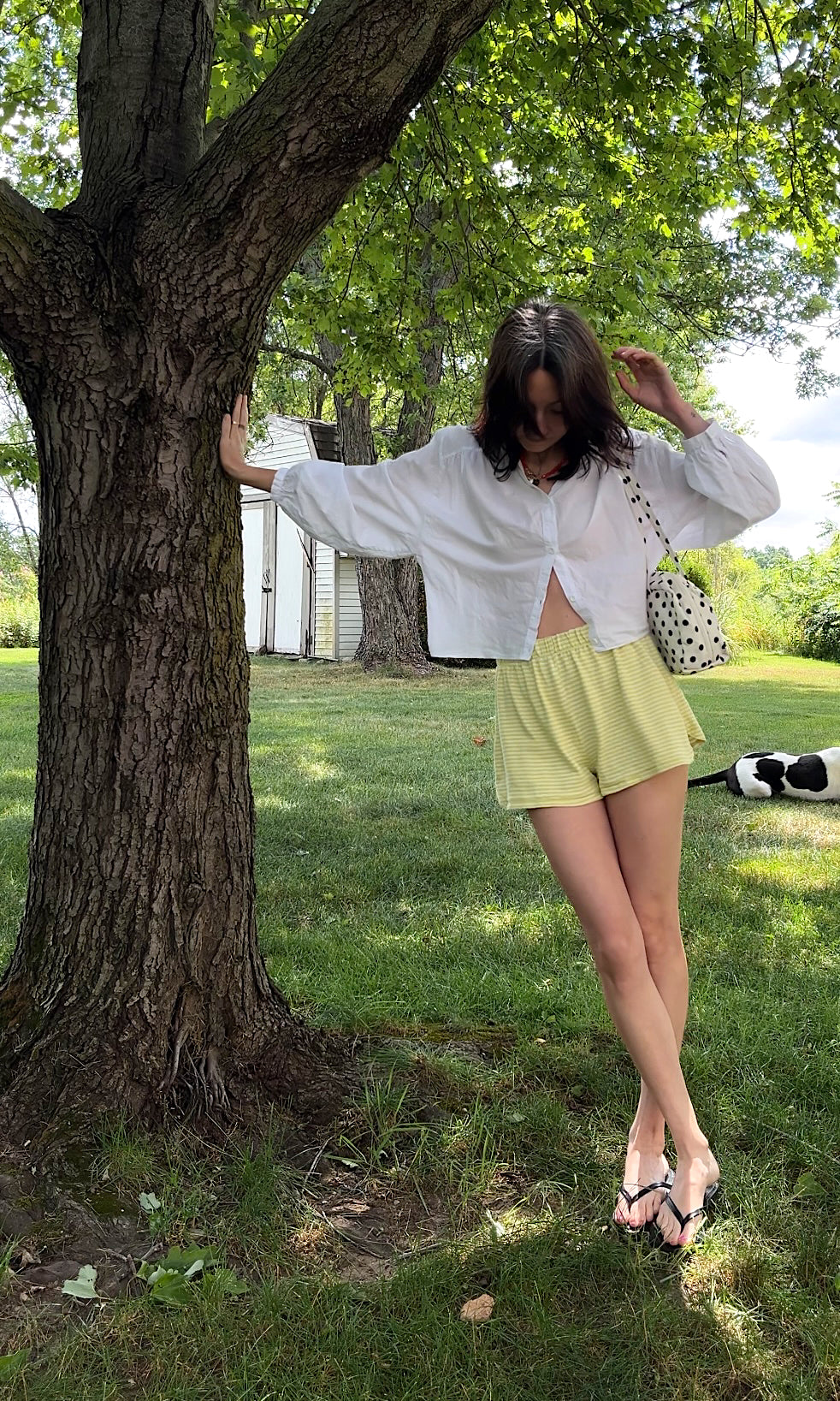 Chamomile Shorts in Zest